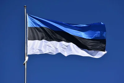 Эстония не планирует принудительно возвращать военнообязанных мужчин в Украину