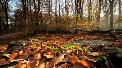 Яке сьогодні свято — Осінні Кузьминки