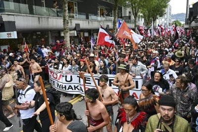 Indigenous Māori