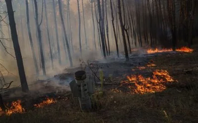 Ночью над Украиной сбили 60 "Шахедов": первые детали атаки