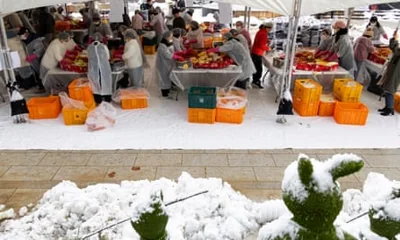 South Korean Buddhists make Kimchi in a tent amid heavy snowfall