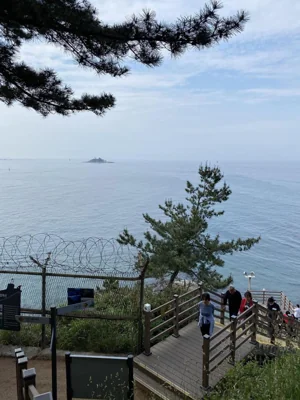 Barbwire lines a staircase in Sokcho, Gangwon Province. Courtesy of NK News