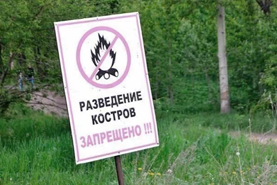 Во всех районах Беларуси ограничено посещение лесов