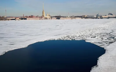 Над Ленинградской областью сбили беспилотник