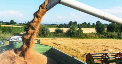 Еврокомиссия установила объемы квот на украинскую агропродукцию