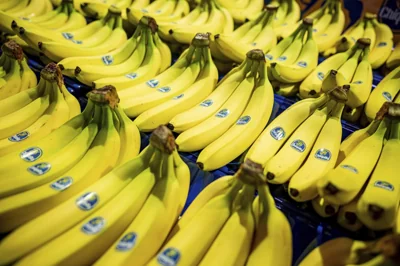 Chiquita Bananas