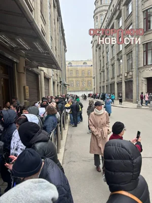 В Москве более 100 человек пришли к приемной президента, чтобы подать обращение против «убийства бездомных животных»