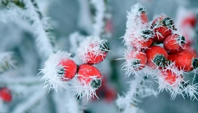 Температура в Украине упадет до -10°: синоптик сообщил, где будет холоднее всего