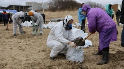 Глава Минприроды: пляжи Анапы восстановят к лету 2026 года