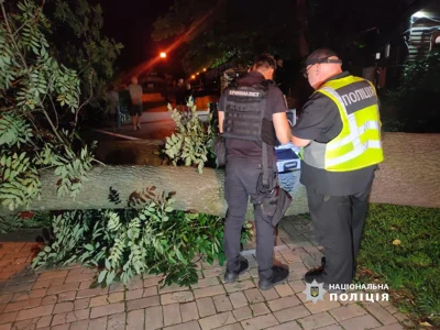 У парку в центрі Києва впало дерево: одна людина загинула, ще троє постраждали – фото