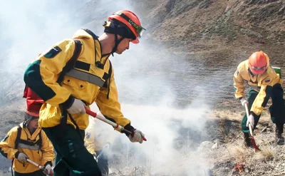 В Туве объявили режим ЧС из-за большого числа лесных пожаров