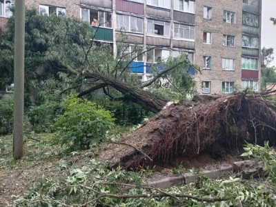 В Беларусь идет очередной циклон: ожидаются ливни и сильный ветер