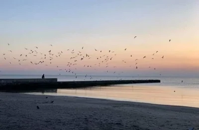 Температура морской воды в Одессе сегодня, 2 октября: бодрящая