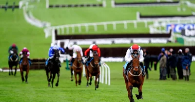 Stark demonstration of Irish power as no home runner in historic trial for future Gold Cup contenders