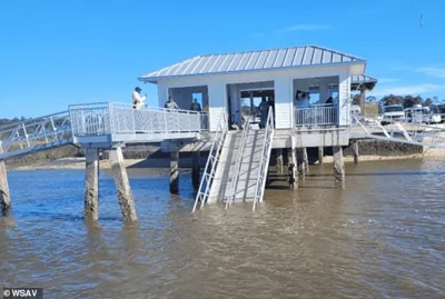 Seven people have died after part of a ferry dock collapsed on Sapelo Island in Georgia (pictured before its collapse)