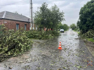 МЧС показало последствия ливней и ветра на Гомельщине