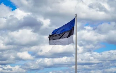 В Естонії відповіли, чи висилатимуть військовозобов'язаних українців із протермінованими паспортами