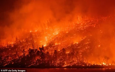 Several countries across the Americas, Africa, Europe and Asia have faced record heat this year. Pictured: Oroville, California on July 2