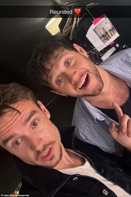 Liam Payne had attended Niall Horan's concert in Argentina just says before he died, with an insider exclusively telling the DailyMail.com there was 'nothing but love' between the pair