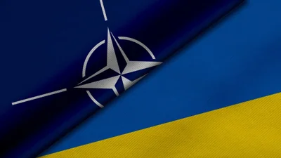 Полторы сотни ученых мира призвали НАТО взять к себе Украину