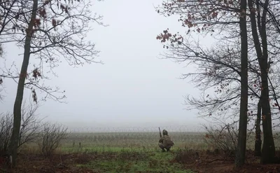 NYT узнала, от каких уступок в рамках мирного плана отказалась Украина