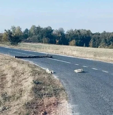 В Курской области машина подорвалась на взрывчатке под видом пакета из под «фастфуда»