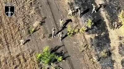 Harrowing footage shows an assault group of seven clearly holding their hands up as they come out from the cover of foliage