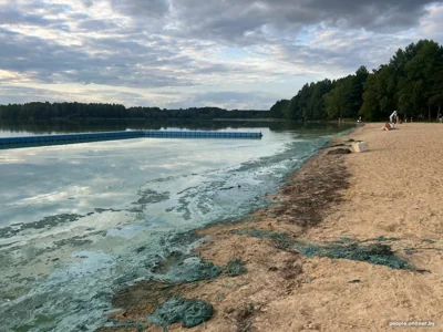 По водохранилищу Дрозды расплескалась синева