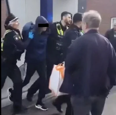 Нападавшая с ножом на главном вокзале Гамбурга — 39-летняя немка, вероятно, нуждающаяся в психиатрическом лечении