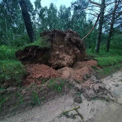 Последствия урагана в Беларуси вечером 1 июля 2024 года. Фото: Минэнерго