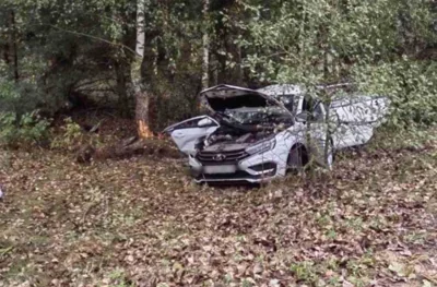 Автомобиль врезался в дерево в Малоритском районе, погиб человек