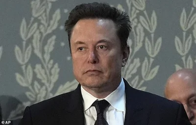 X ower Elon Musk has doubled down on calling the Albanese government fascists over proposed misinformation laws