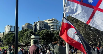 New Zealand MPs disrupt parliament with haka to protest Indigenous treaty bill