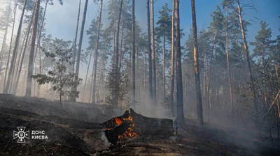 У Києві за день сталося 13 пожеж в екосистемах, це катастрофа для природи – ДСНС