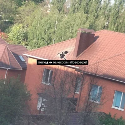 В Белгородской области мужчина погиб в результате падения российской авиабомбы, но власти это скрыли