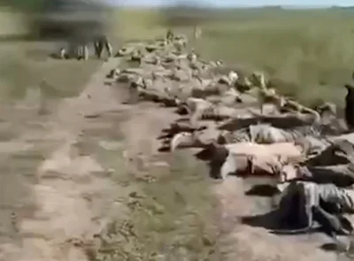 A huge row of Russian soldiers lie down and surrender during Ukraine's Kursk invasion