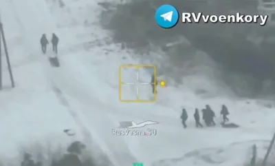 Aerial footage allegedly shows North Korean troopers in Plekhovo, Kursk region