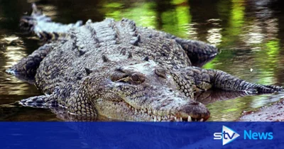 Child missing in suspected crocodile attack in Australia's Northern Territory