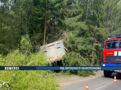 В Полоцком районе грузовик врезался в дерево — водитель погиб